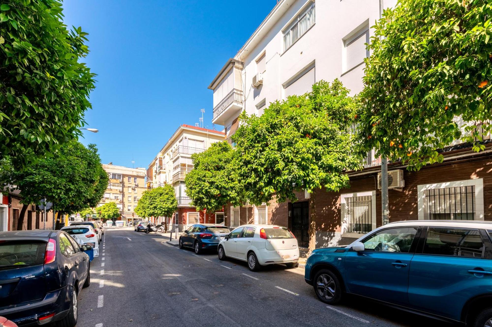 Confortable Apto. 3 Habitaciones Σεβίλλη Εξωτερικό φωτογραφία